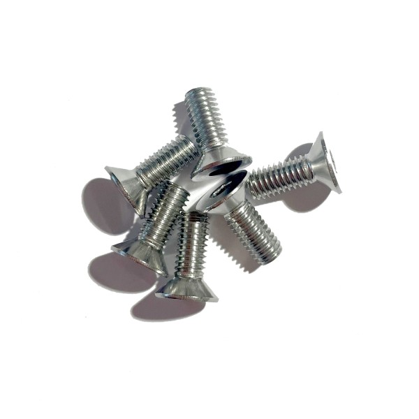 Edelstahlschrauben (6 Stück) für Bodeneinbaustrahler M6 x 16mm (für Aluring)